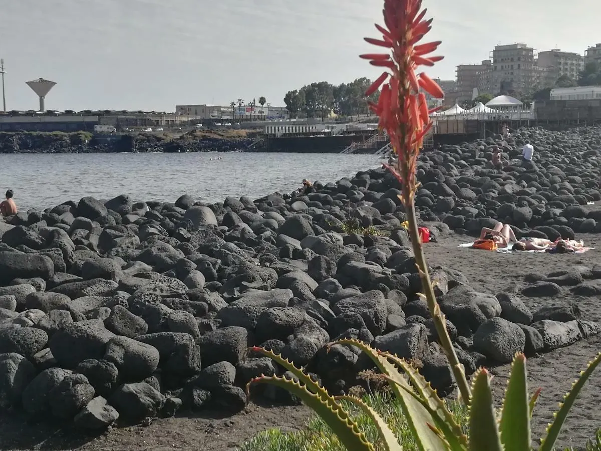 Appartamento Sabbia Dell' Etna Catania Apartment